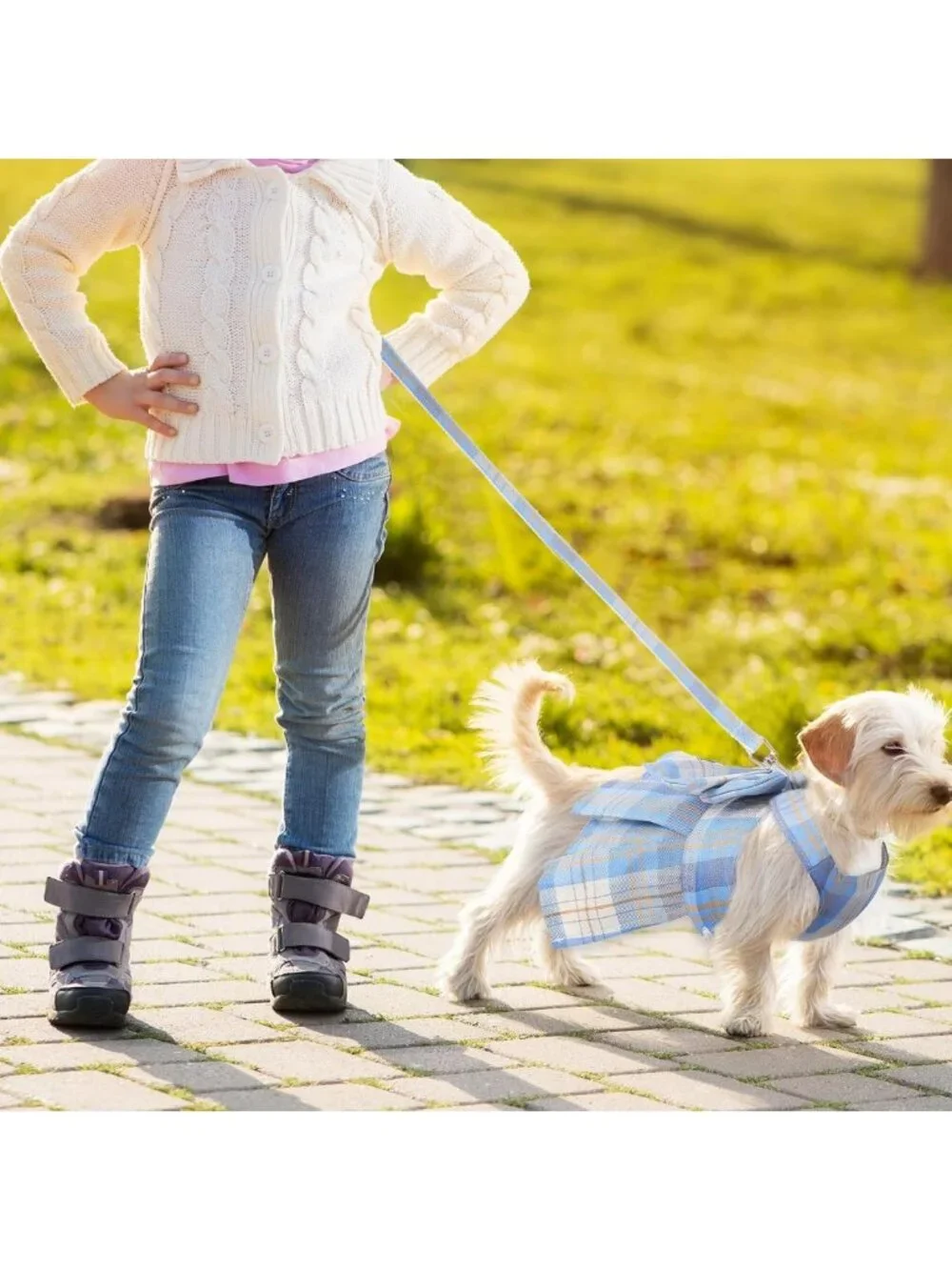 Adorable 4-Piece Plaid Dog Dress Set with Bow, Harness & Leashes - XS, Light